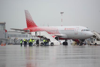 Санкт-Петербург. Самолет Airbus A319 авиакомпании `Россия` в аэропорту `Пулково`.