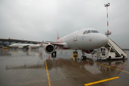 Санкт-Петербург. Самолет Airbus A319 авиакомпании `Россия` в аэропорту `Пулково`.