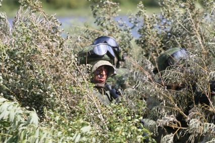 Псковская область. Полковые тактические учения ВДВ на полигоне 76-й гвардейской десантно-штурмовой дивизии.