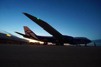 Екатеринбург. Разгрузка самолета грузовой авиакомпании \'AirBridgeCargo\' с сборной партией цветов весом 40 тонн к 1 сентября. Аэропорт \'Кольцово\'