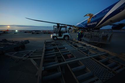 Екатеринбург. Разгрузка самолета грузовой авиакомпании \'AirBridgeCargo\' с сборной партией цветов весом 40 тонн к 1 сентября. Аэропорт \'Кольцово\'