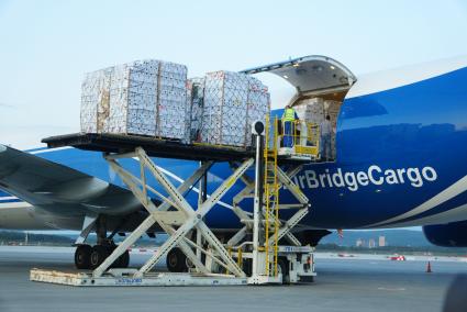 Екатеринбург. Разгрузка самолета грузовой авиакомпании \'AirBridgeCargo\' с сборной партией цветов весом 40 тонн к 1 сентября. Аэропорт \'Кольцово\'