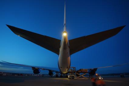 Екатеринбург. Разгрузка самолета грузовой авиакомпании \'AirBridgeCargo\' с сборной партией цветов весом 40 тонн к 1 сентября. Аэропорт \'Кольцово\'