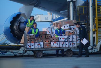 Екатеринбург. Разгрузка самолета грузовой авиакомпании \'AirBridgeCargo\' с сборной партией цветов весом 40 тонн к 1 сентября. Аэропорт \'Кольцово\'