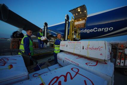 Екатеринбург. Разгрузка самолета грузовой авиакомпании \'AirBridgeCargo\' с сборной партией цветов весом 40 тонн к 1 сентября. Аэропорт \'Кольцово\'