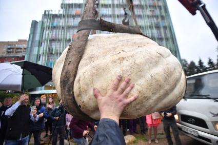 Москва. Презентация самой большой тыквы (472 кг), выращенной в России в преддверии открытия ежегодного фестиваля цветов, урожая, искусства `Краски осени`.