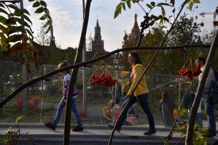 Москва.   Посетители  на территории природно-ландшафтного парка `Зарядье`.