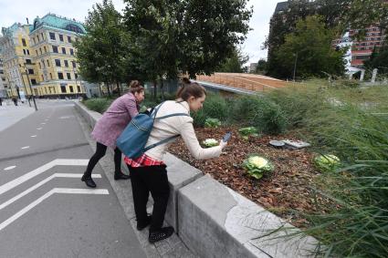 Москва.  Девушки фотографируют цветы на Крымской набережной.