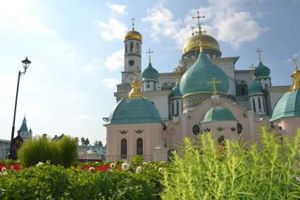 Московская область, Истра.  Вид на Новоиерусалимский монастырь и Воскресенский собор.