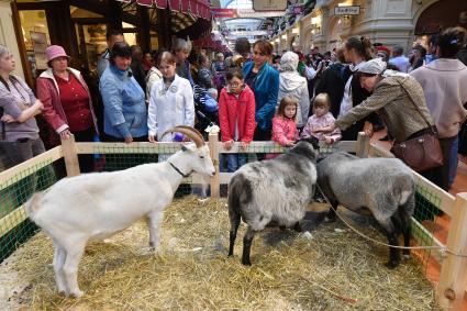 Москва. Посетители на открытии ярмарки отечественных фермерских продуктов ВДХС ( выставка достижений сельского хозяйства) в ГУМе.