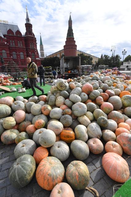 Москва. Подготовка к гастрономическому фестивалю `Золотая осень` на Манежной площади.