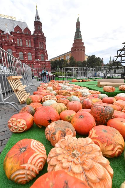 Москва. Подготовка к гастрономическому фестивалю `Золотая осень` на Манежной площади.