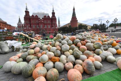 Москва. Подготовка к гастрономическому фестивалю `Золотая осень` на Манежной площади.