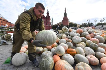 Москва. Подготовка к гастрономическому фестивалю `Золотая осень` на Манежной площади.