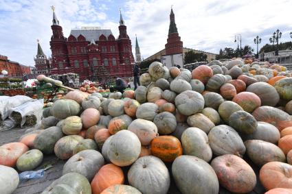 Москва. Подготовка к гастрономическому фестивалю `Золотая осень` на Манежной площади.