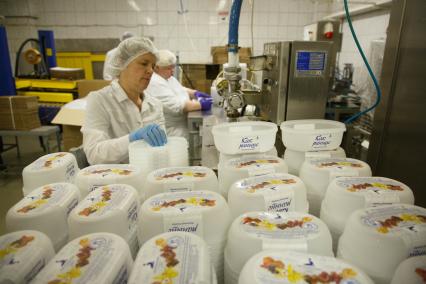Санкт-Петербург. Сотрудница фасует мороженое в пластиковые контейнеры в производственном цехе фабрики  `Петрохолод`.