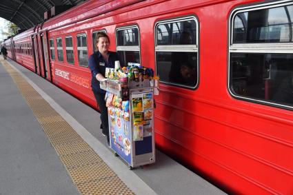 Московская область. `Аэроэкспресс` в аэропорту Домодедово.