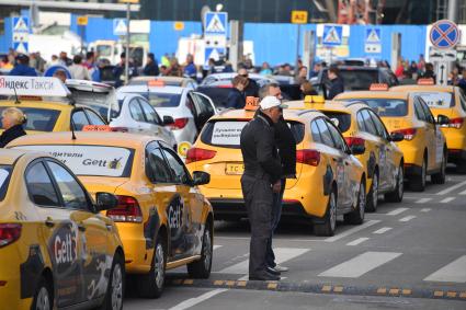 Московская область. Стоянка такси в аэропорту Домодедово.