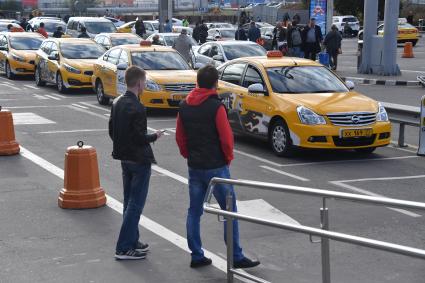 Московская область. Стоянка такси в аэропорту Домодедово.