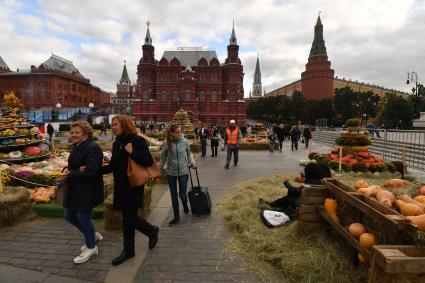 Москва. Посетители на гастрономическом фестивале `Золотая осень ` на Манежной площади.