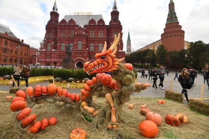 Москва. Декоративное оформление на гастрономическом фестивале `Золотая осень ` на Манежной площади.