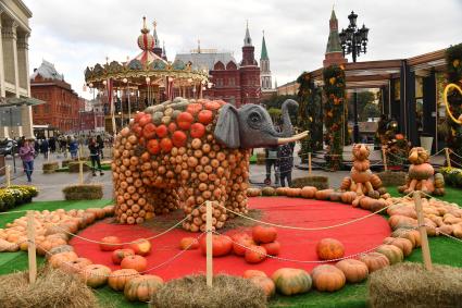 Москва. Декоративное оформление на гастрономическом фестивале `Золотая осень ` на Манежной площади.