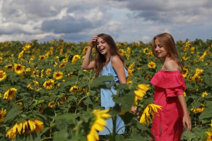 Красноярск. Девушки в  подсолнухах.