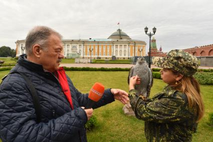 Москва. Корреспондент `Комсомольской правды` Александр Гамов и кремлевский сокольник Юлия Карасева с ястребом Альфой  на территории  Кремля.