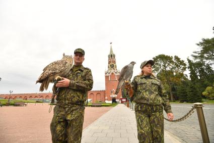 Москва. Кремлевские сокольники Алексей Тюрин с филином Филей   и Юлия Карасева с ястребом Альфа на территории  Кремля.