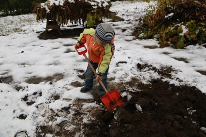 Красноярский край. Мальчик помогает перекапывать огород на дачном участке перед началом зимы.