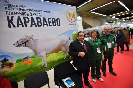 Москва. Стенд племенного завода  Караваево   на  Российской агропромышленной выставке `Золотая осень` на ВДНХ.