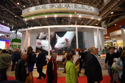 Москва. Посетители на Российской агропромышленной выставке `Золотая осень` на ВДНХ.
