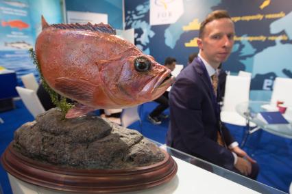 Санкт-Петербург. Выставка рыбной индустрии, морепродуктов и технологий в рамках международного рыбопромышленного форума.