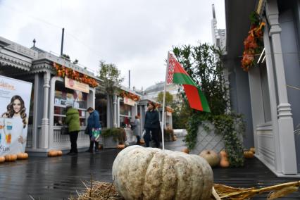 Москва. Белорусский флаг на ярмарке `Золотая осень`.