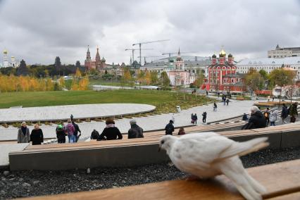 Москва.   Посетители  в ландшафтном парке `Зарядье`.