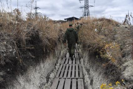 Украина, Донбасс. Деревянные поддоны в траншеях на передовой.