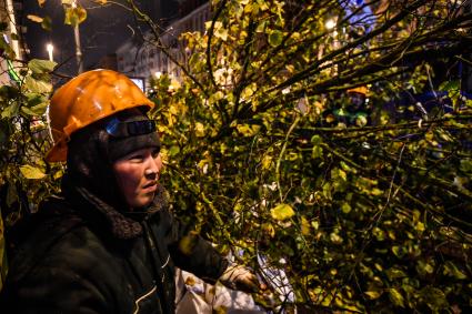 Москва. Высадка лип на Тверской улице на участке от Пушкинской до Триумфальной площади.