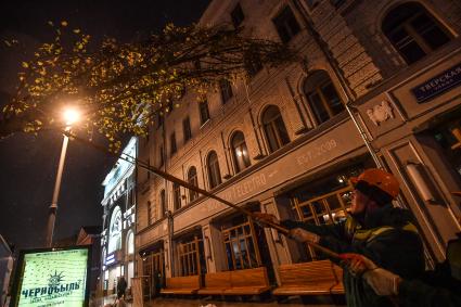 Москва. Высадка лип на Тверской улице на участке от Пушкинской до Триумфальной площади.