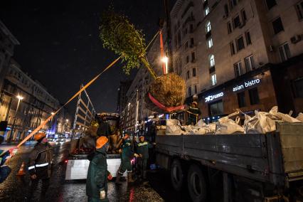 Москва. Высадка лип на Тверской улице на участке от Пушкинской до Триумфальной площади.