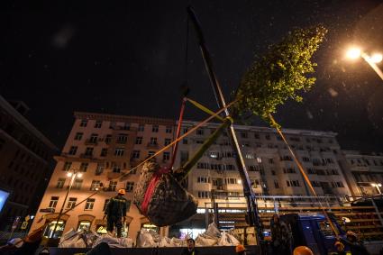 Москва. Высадка лип на Тверской улице на участке от Пушкинской до Триумфальной площади.