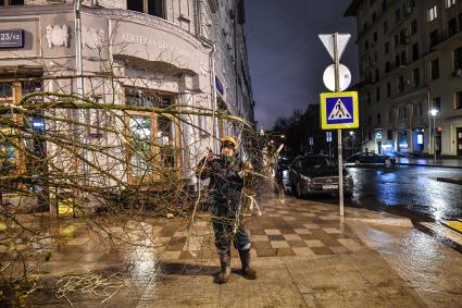 Москва. Высадка лип на Тверской улице на участке от Пушкинской до Триумфальной площади.