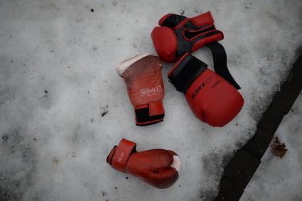 Москва. Самодельная спортивная площадка в Тимирязевском парке.