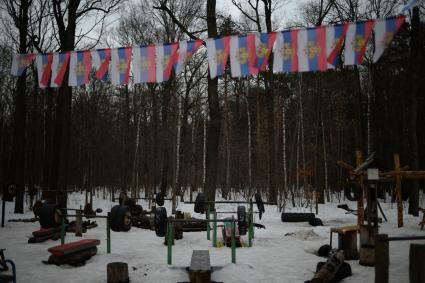 Москва. Самодельная спортивная площадка в Тимирязевском парке.