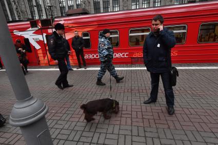 Москва. Полицейский с собакой на перроне Киевского вокзала у двухэтажного аэроэкспресса.