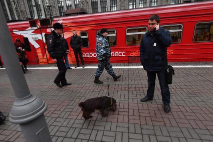 Москва.  Полицейский с собакой  на перроне Киевского вокзала у двухэтажного аэроэкспресса.