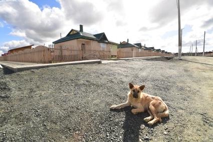 Сахалин . Агрогородок, построенный по по белорусской технологии.