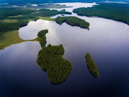 Республика Карелия, Муезерский район. Мергубское озеро, где расположен детский лагерь `Большое приключение` Дмитрия и Матвея Шпаро.