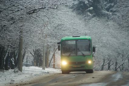 Екатеринбург. Маршрутный автобус