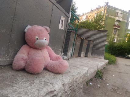 Екатеринбург. Большой розовый плюшевый медведь на помойке