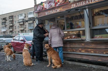 Пермь. Бездомные  собаки  у палатки с мясными деликатесами.